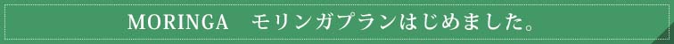 モリンガプラン始めました