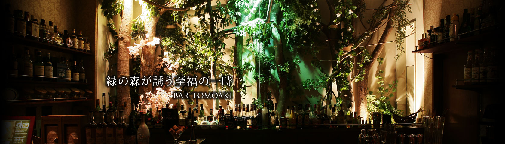 緑の森が誘う至福の一時 BAR TOMOAKI